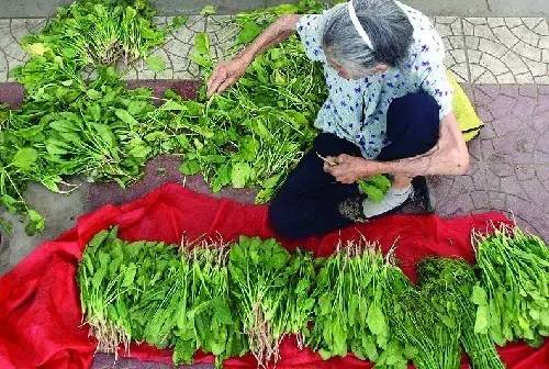 揭露内幕 | 别总去超市买菜.