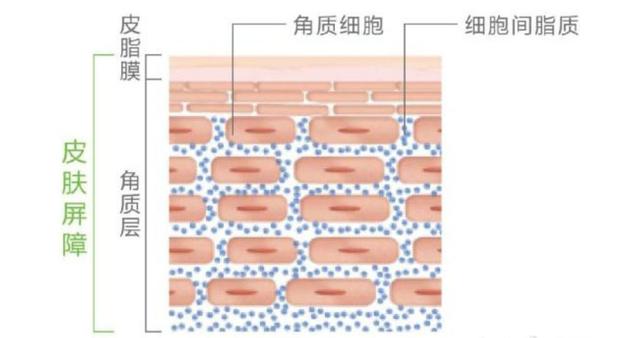 秋冬枯燥皮屑如雪，6个洗澡小贴士来帮你