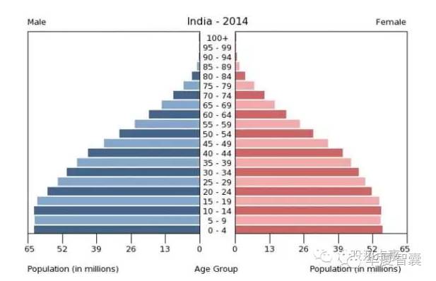 印度人口金字塔_印度,一个万亿级消费金融市场(3)