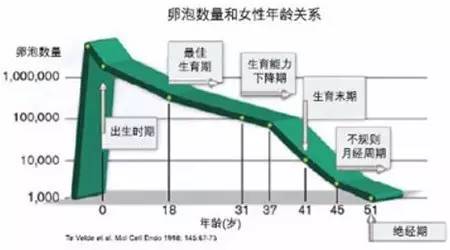 年轻为何不孕不育?孕妈是否测过AMH浓度?