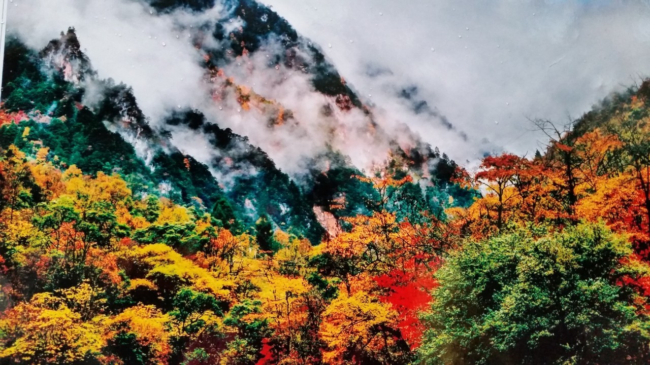 峨眉山是我国的四大佛教名山之一