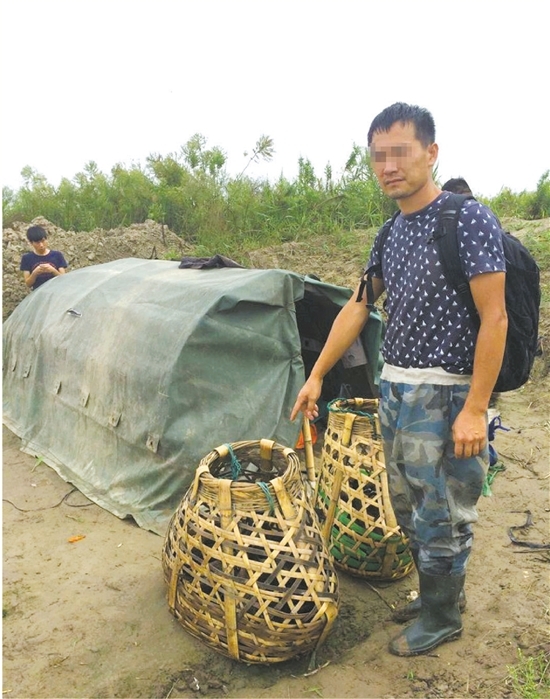 浙江男子贪财捕野鸭,鸭子没吃坐牢房