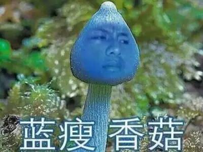 蓝瘦香菇是什么意思