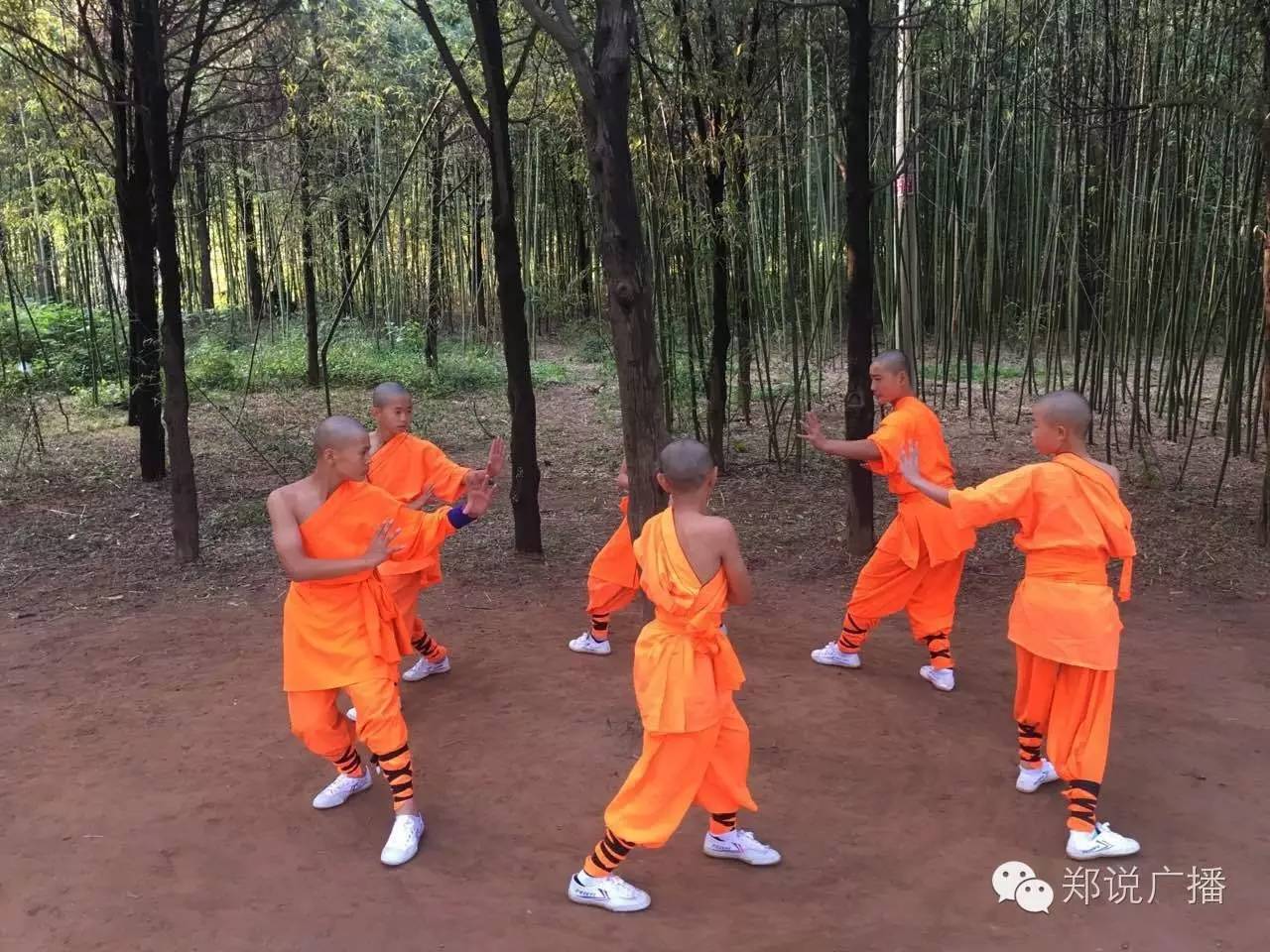 从万人练武场到少林寺山门之间最后一公里路程,道路两旁的武术表演最