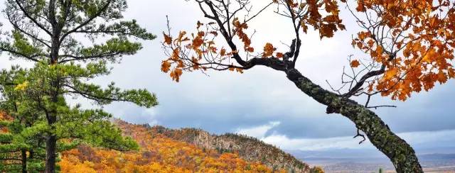 坐拥江山