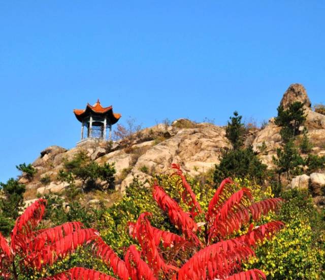 现在又成为了全国乡村旅游扶贫重点村 期待城阳的乡村建设得更加美好