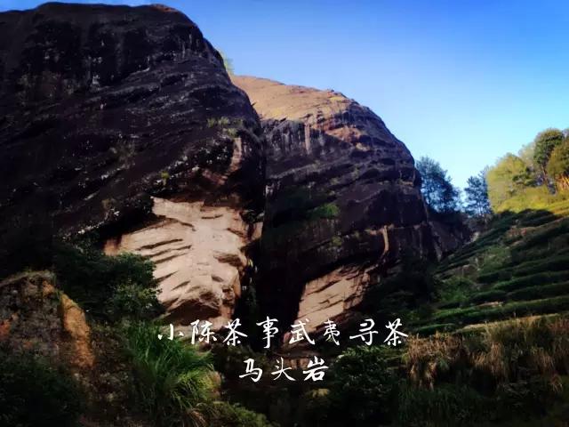 揭秘武夷岩茶的神秘山场马头岩