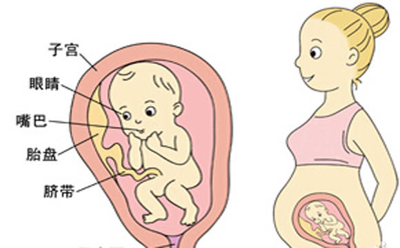 胎儿可能缺氧了,孕妈妈能及时知道嘛!