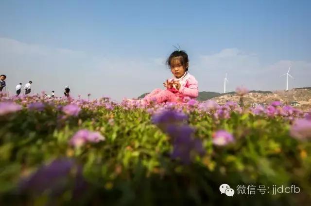 10月16日,游人在江西鄱阳湖都昌湿地蓼子花海内游玩