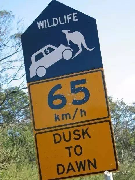澳洲的道路安全规定和各类路标的含义