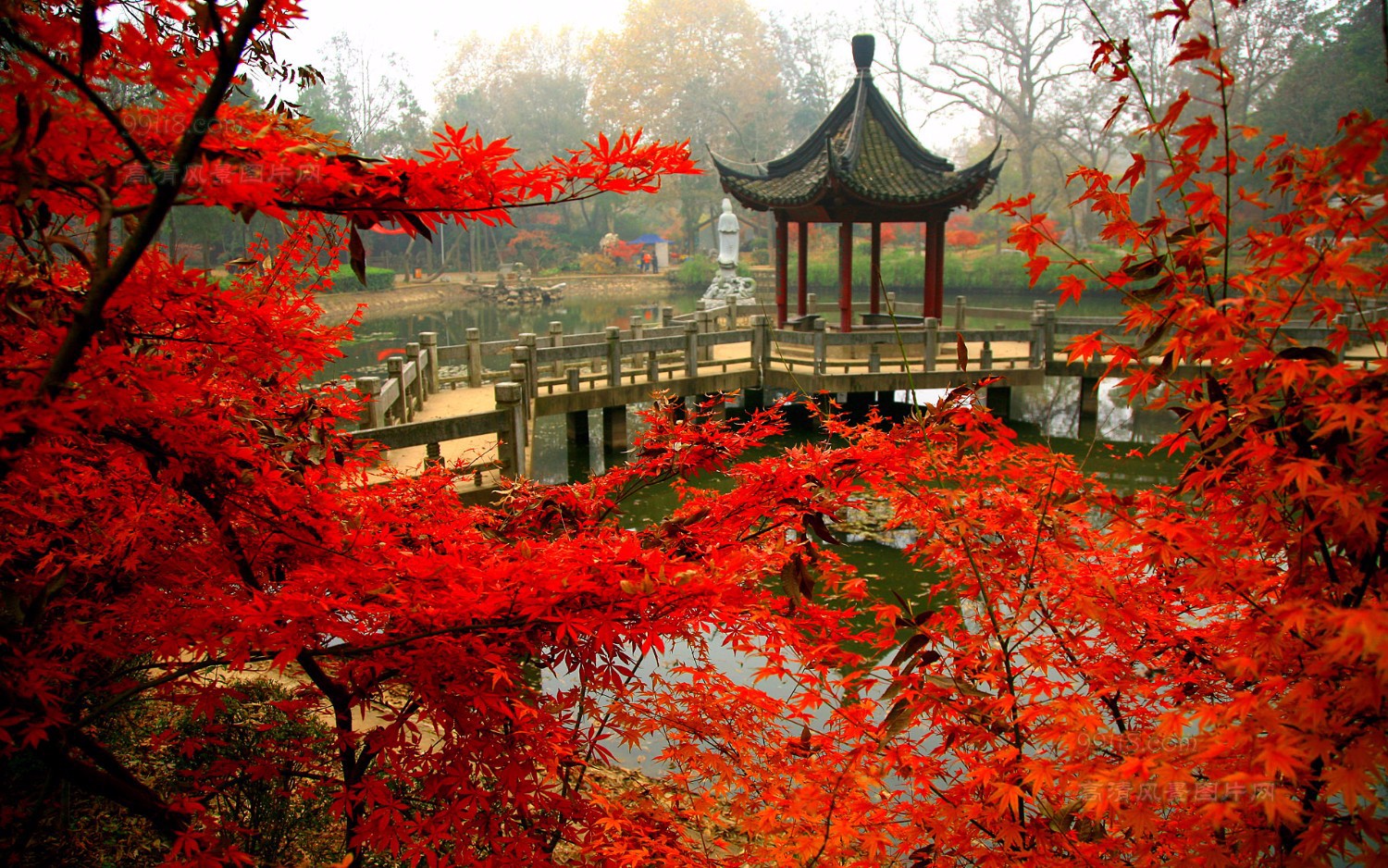 南京秋天最美的去处,这些地方真的美哭了!