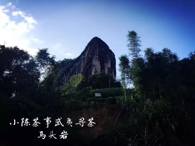 揭秘武夷岩茶的神秘山场马头岩