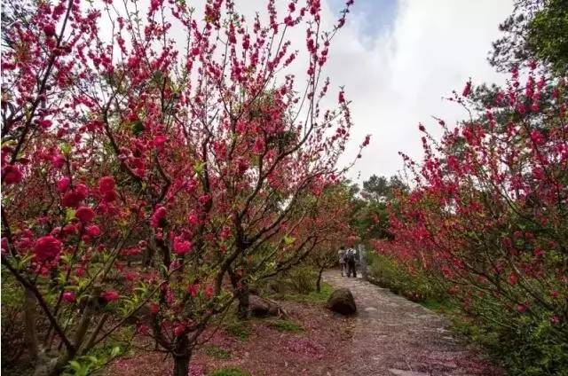 △青秀山桃花岛