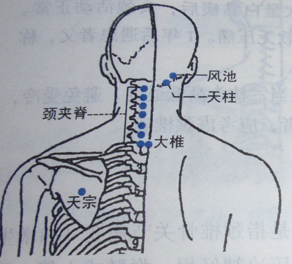 以下就是关于艾灸治疗颈椎病的详细方法介绍,为了方便大家找准穴位