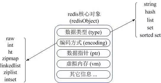 Redis 内存使用优化与存储-搜狐