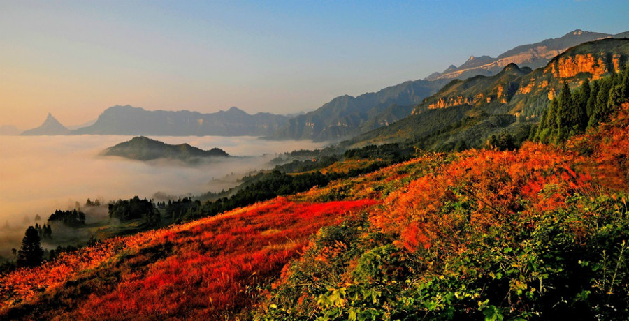 金佛山曲谱_南川金佛山