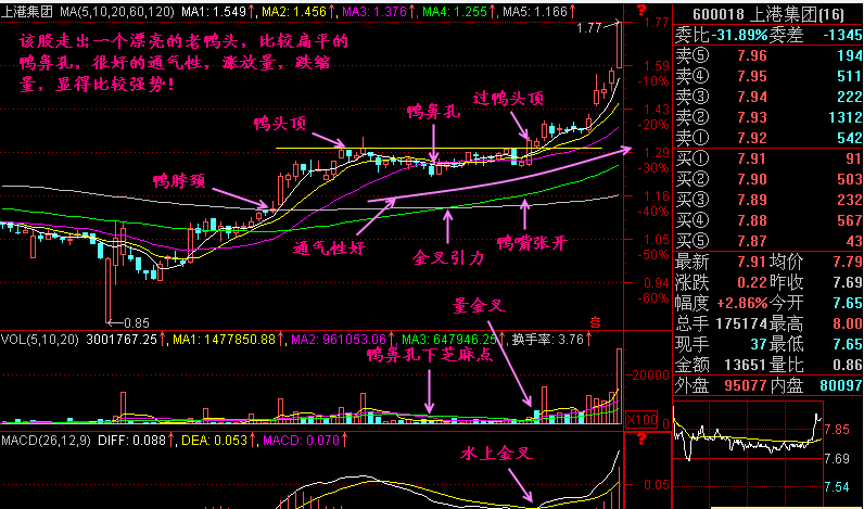 三大必涨形态之一老鸭头