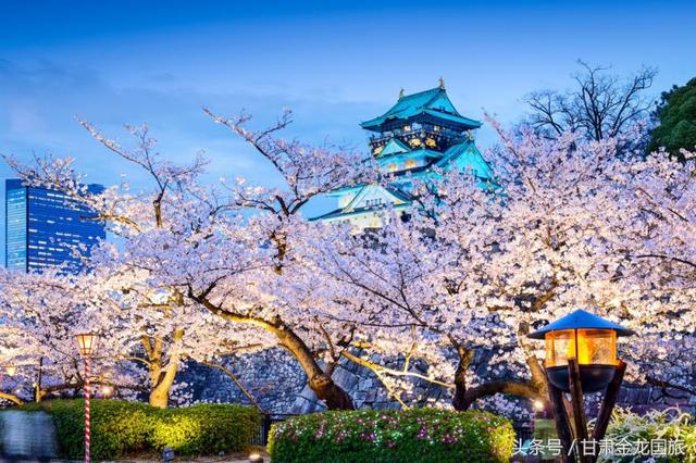 漫游日本,泡温泉,品美食,感受日本独特文化