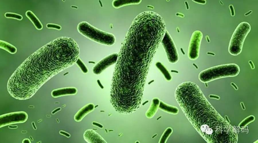 科学家发现核动力细菌!颠覆对生命的理解!