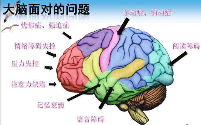 注意力涣散怎么办