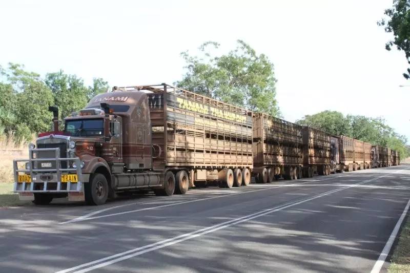 [酷]公路列车登场,无人再敢称王_搜狐汽车_搜狐网