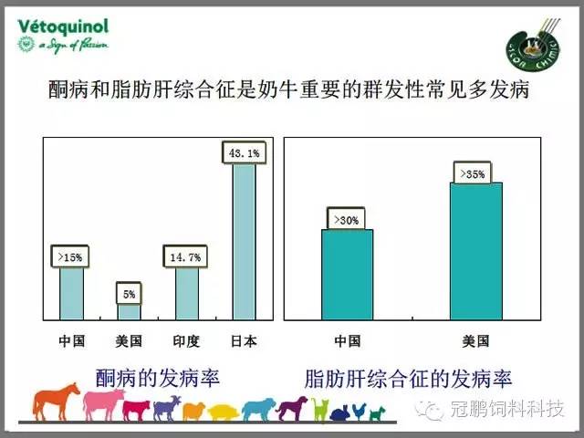 营养繁殖的原理_树木营养繁殖原理和技术(3)