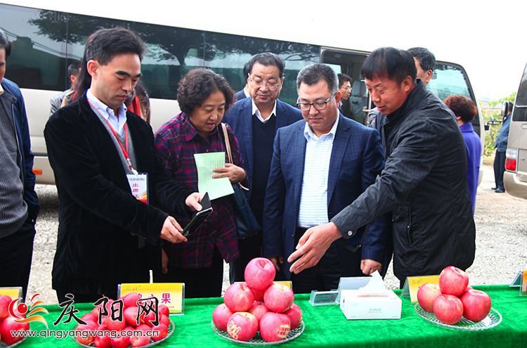 庆阳人口数量_庆阳市人口和计划生育工作视频会议召开(3)