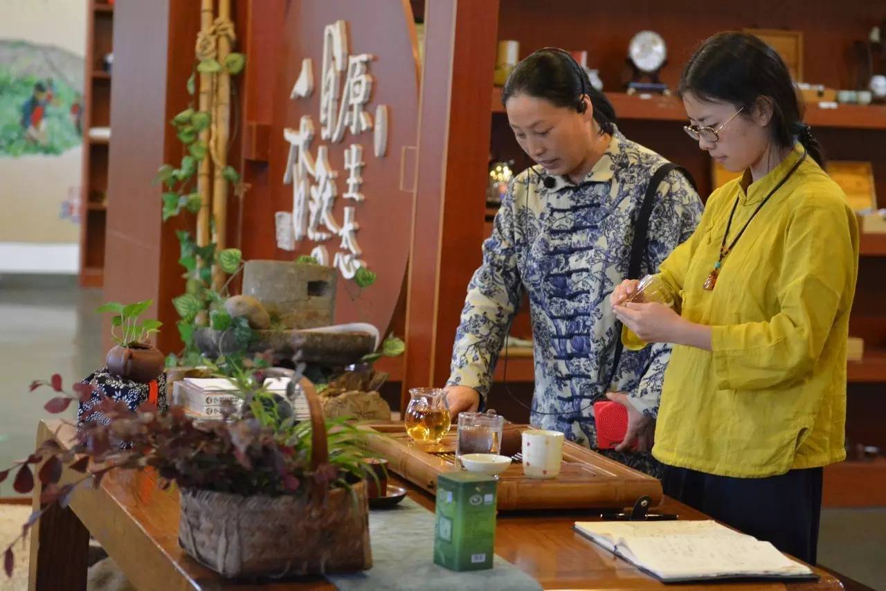 品茗养生--天目健康茶疗,临安养生游新玩法