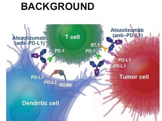 图说pd-l1神药阿特珠单抗