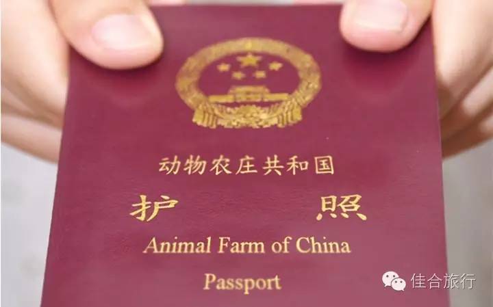 公务护照免签通知:中国与塞尔维亚将实行互免