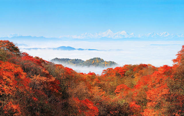 峨眉山市人口多少_快来围观 乐山人眼中的乐山吐槽地图是啥样儿的(2)