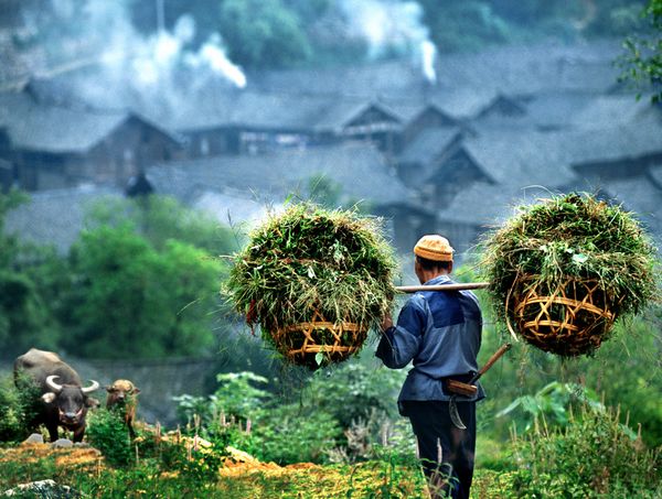 乡村规划师,请您对咱们的乡村温柔点