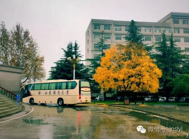 10月底至11月初 济南的秋天最适合欣赏枫叶 而山东财经大学舜耕校区