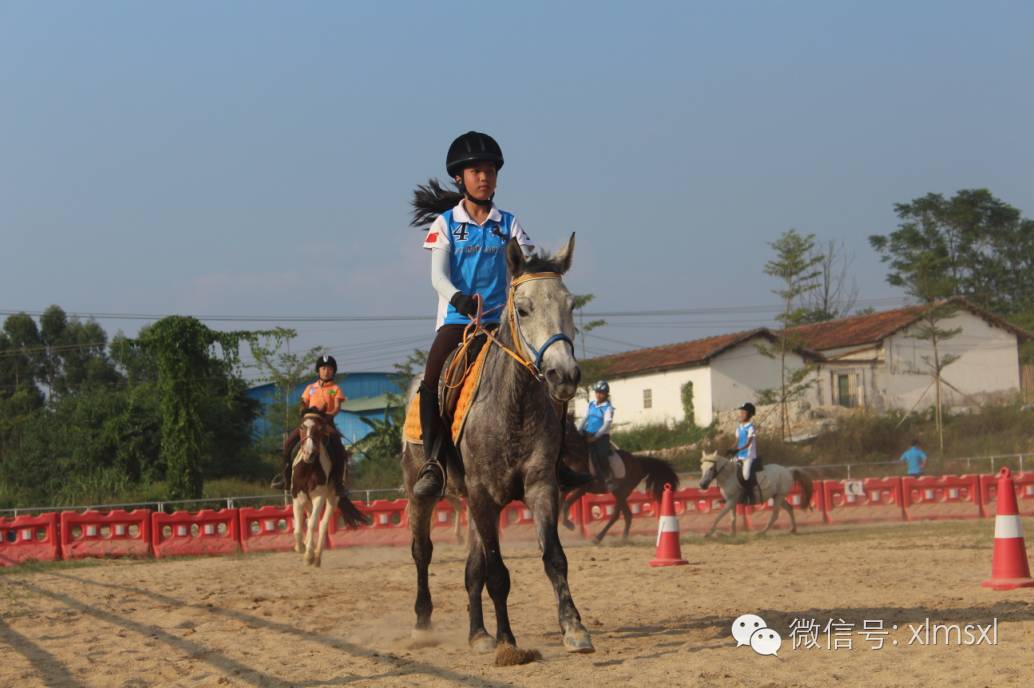 中国马术协会骑手等级通级赛考前封闭式集训