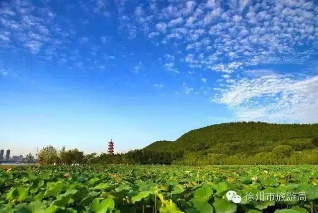 徐东海副市长:徐州的美景.一年四季都好看!