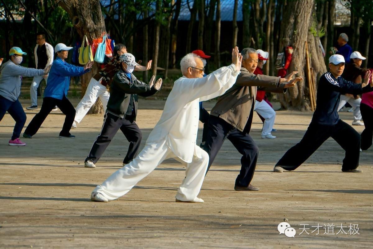 练习太极拳也讲究天时地利