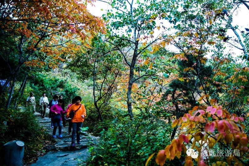 【旅游动态】上海首发百人旅游团今日离招,任