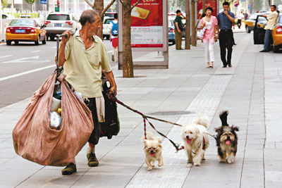 近5000万贫困人口_2013年中国贫困人口