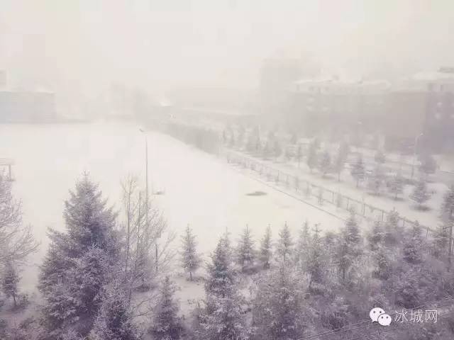 下雪+冰雹!昨黑龙江哪儿下的雪最大,没想到竟