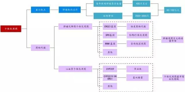 與個體化用藥相關的主要檢測項目