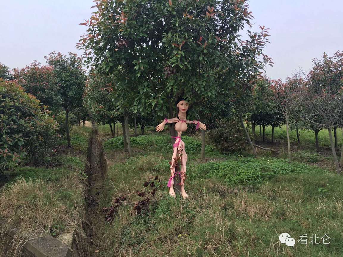 宁波有一小树林惊现"裸体女尸",好吓人