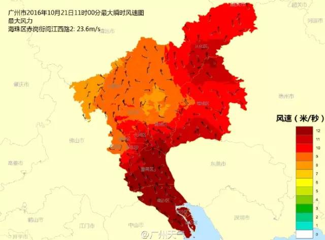 汕尾市有多少人口_海丰街头到处是这些人,什么情况(3)