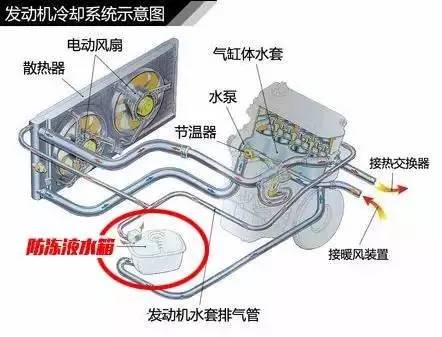 许多人认为防冻液只是冬天才使用,其实并不是