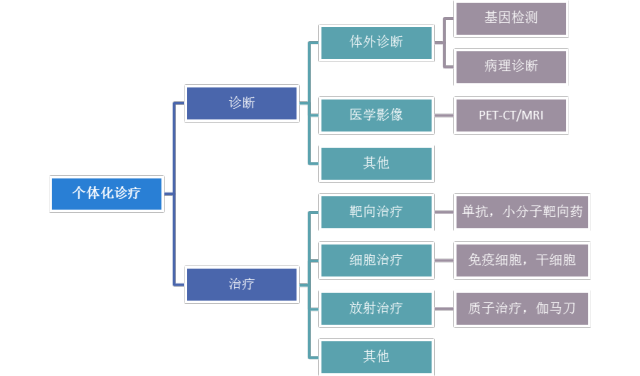 個體化診療主要技術框架