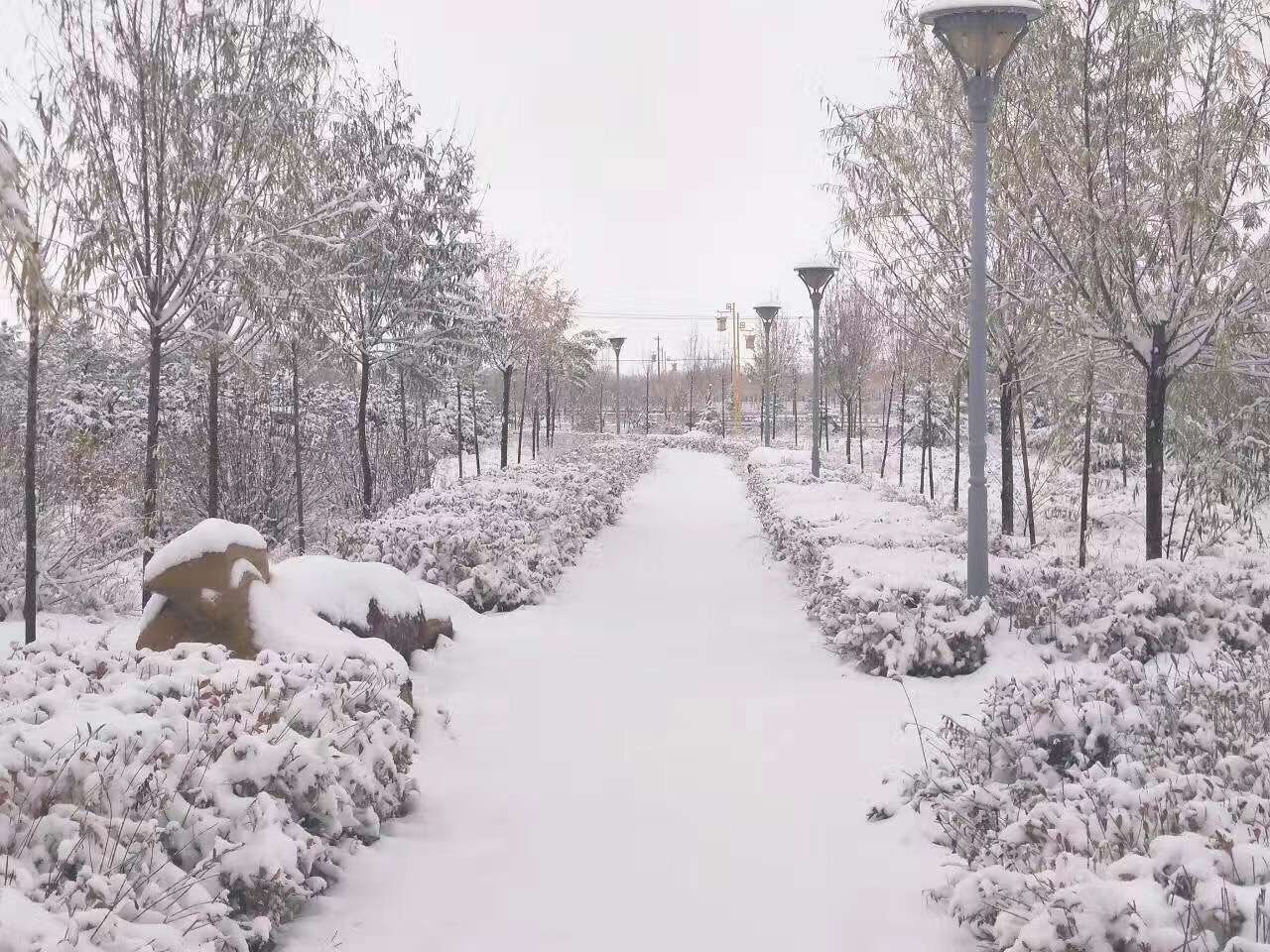 (乌兰察布市察右中旗雪景 网友供图)(乌兰察布市察右中旗雪景 网友供