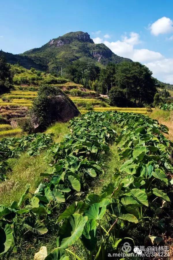 闽清山墩村大山深处的美丽乡村