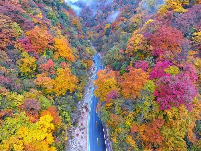 2016第十四届中国四川光雾山红叶节期间(10月18日至11月18日)景区及