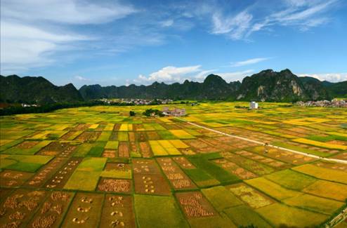 10月23日到25日,"2016广东云浮·罗定稻米节"即将在罗定市政广场举行.