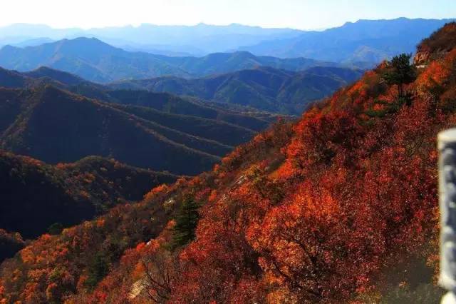 山西周边20处秋景极美的地方,这个秋天千万不要错过了