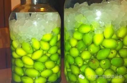 唐三镜酿酒师教你制作橄榄酒